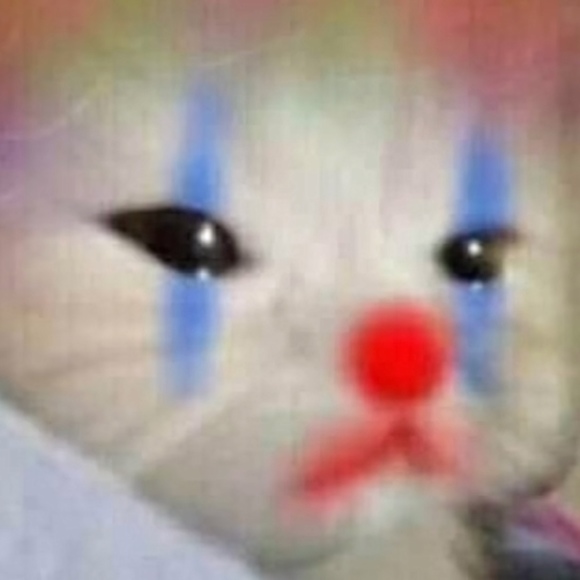 Meet your Posher, Irene - Picture 1 of 1